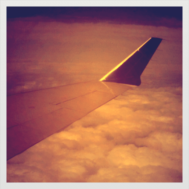 The view from my seat, from DFW to LAX.