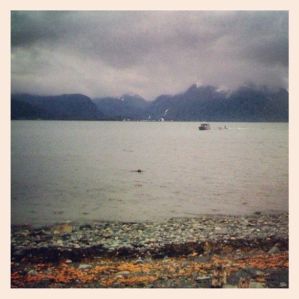 Resurrection Bay, Seward, AK Memories of Resurrection Bay.