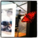 I found this guy hiding out in the booth.