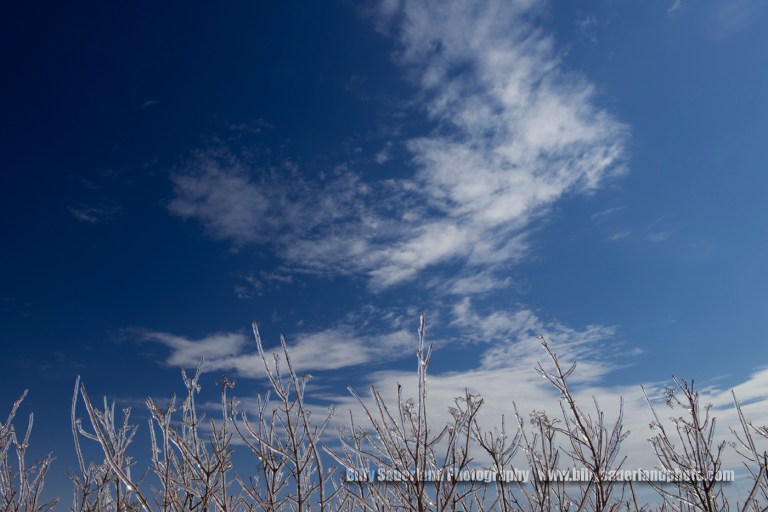 The day was cold, the sky was clear except for a few of these cotton candy clouds. All together the day was a success shooting in the Tall Grass Prairie Preserve.